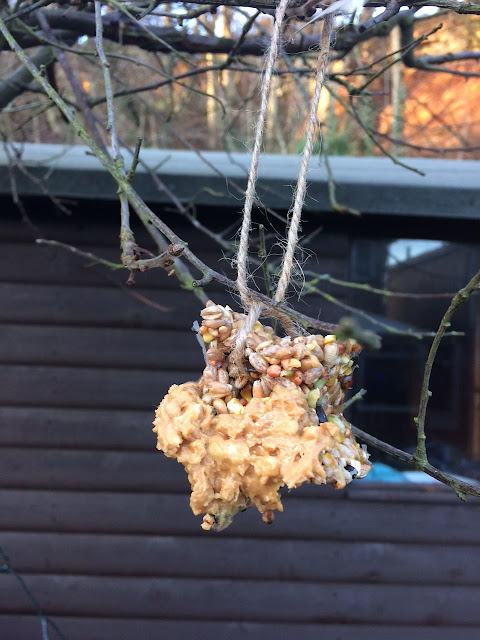 The bird feeders hanging from a tree