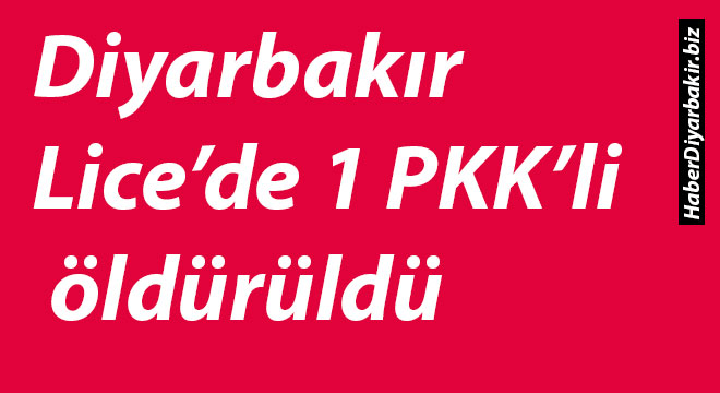 Diyarbakır Lice’de 1 PKK’li öldürüldü Diyarbakır Lice’de 1 PKK’li öldürüldü