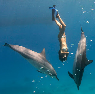 Une histoire d'amour qui est d'abord celle de deux individus avec l'océan et les espèces qui le peuplent. Alors, quand Leina apprend qu'elle est enceinte, elle l'annonce à tous ses proches sans oublier personne.