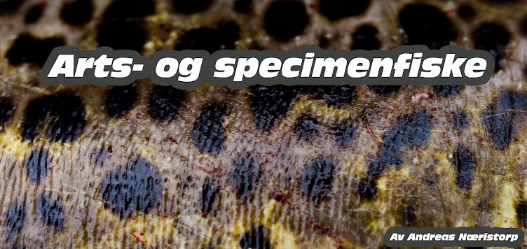 Arts- og specimenfiske