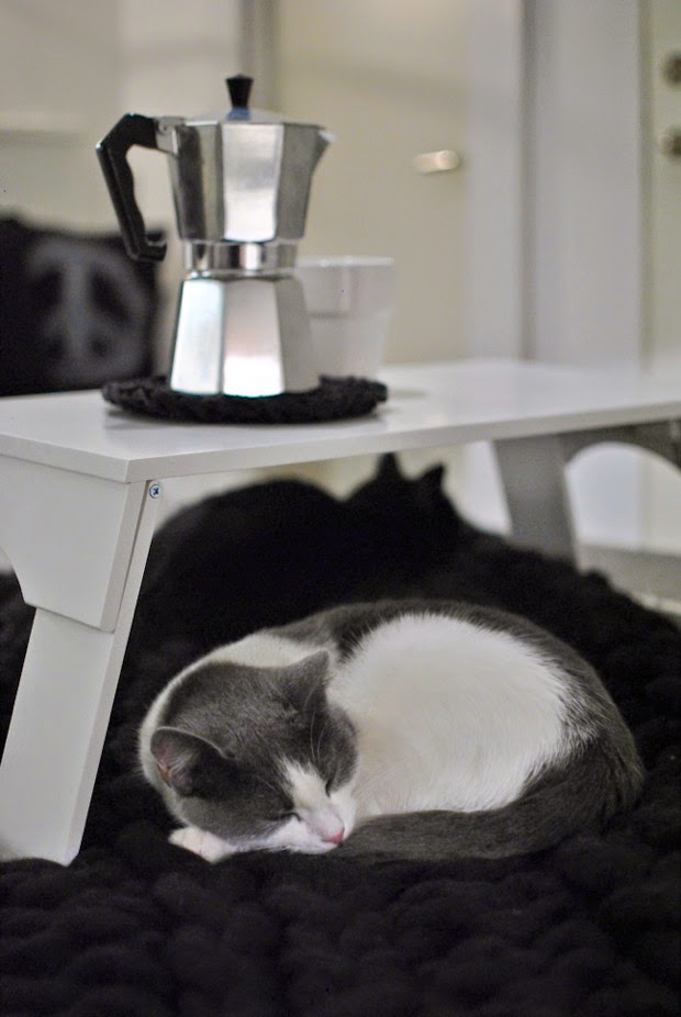 svartvitt kattungar sängbricka