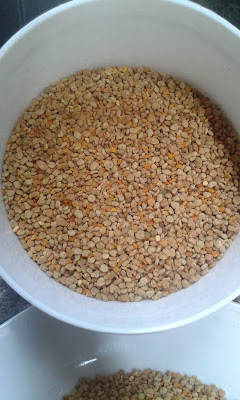 jual beepollen di surabaya