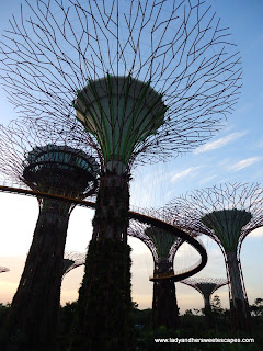 Amazing Super Trees in Gardens by the Bay