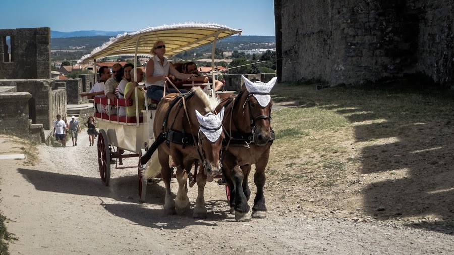 Carcasonne, Carcasona
