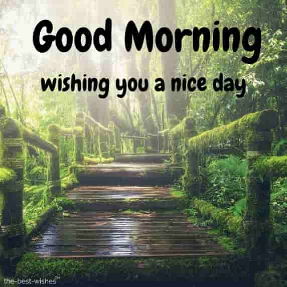 wishing-you-a-nice-day-image wishing you a nice day image