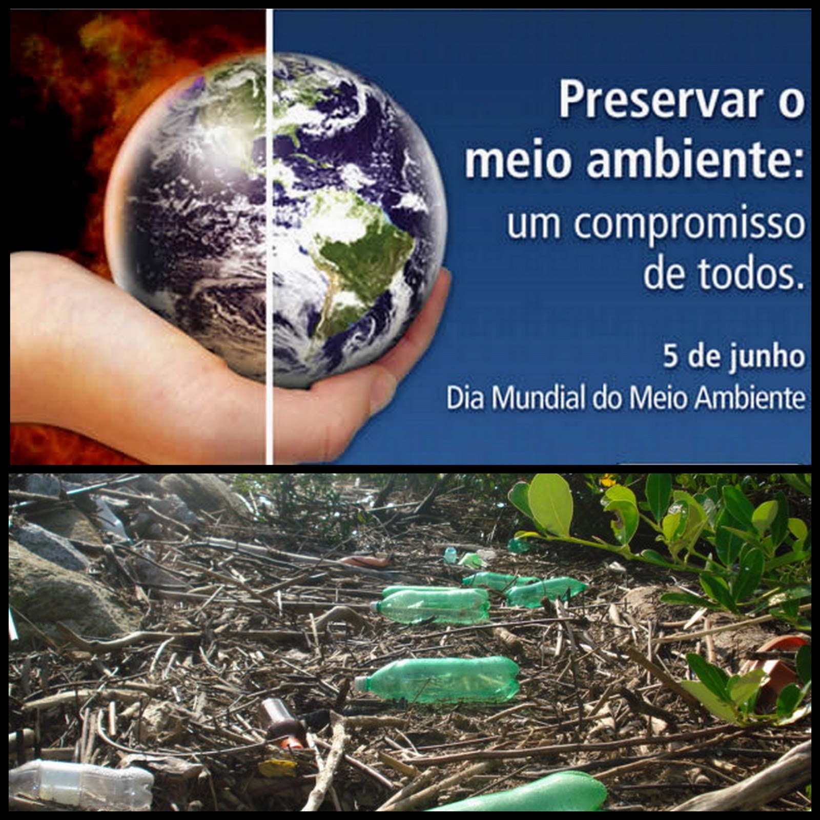 Meio preservar exemplos cooperativismo