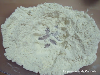 panmicroen7min4.jpg
