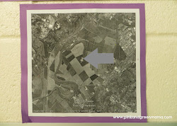 landscape lesson eye earth google pink paintings birds elementary pattern bird fly locations started learning students