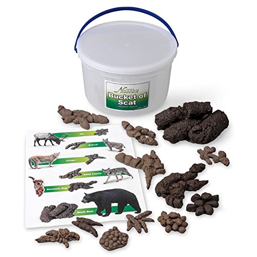 Terrierman's Daily Dose A Bucket of Poop for Your Child