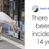 Horse Goes On A Daily Walk Alone For 14 Years, And People Offer Pets And Treats To Her