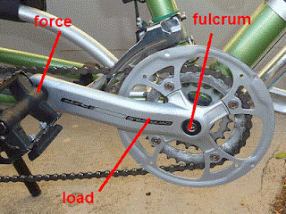 a bicycle crank arm is a class two lever