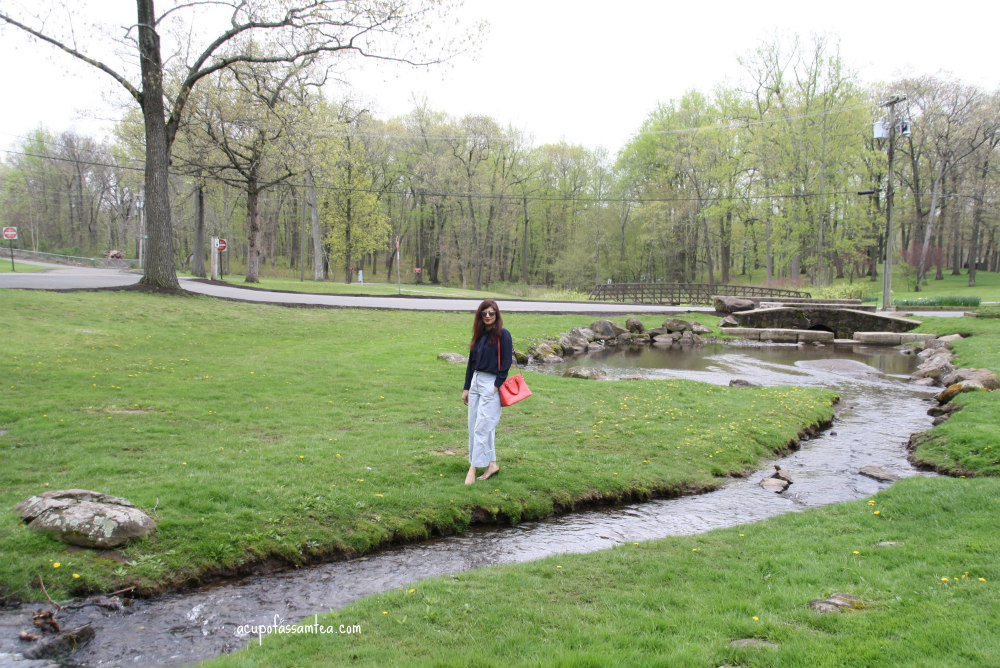 Hubbard Park, Meriden, CT a serene treat
