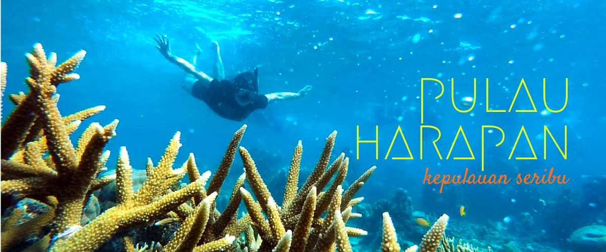 wisata open trip dan private trip pulau harapan kepulauan seribu paket wisata open trip dan private trip pulau harapan pulau seribu