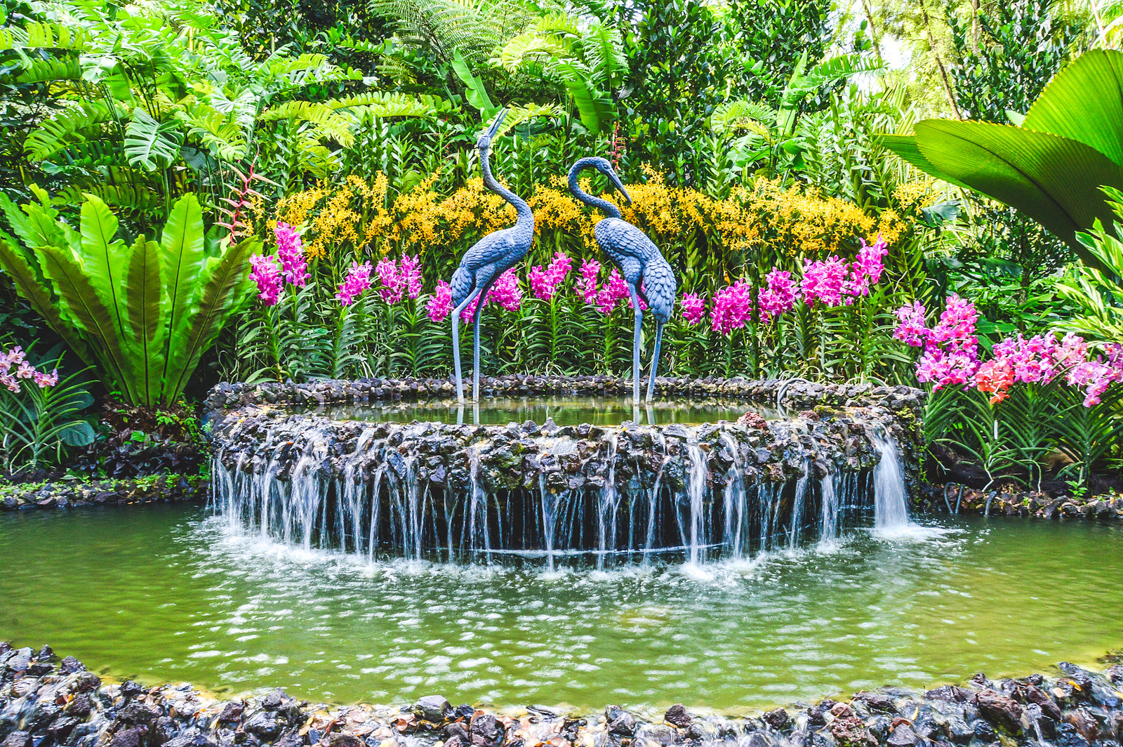 Ботанический сад в сингапуре