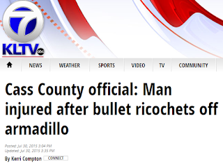 Man injured after bullet ricochets off armadillo