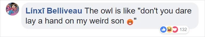 Adorable Pictures Of An Owl Raising A Duckling Adorable Pictures Of An Owl Raising A Duckling