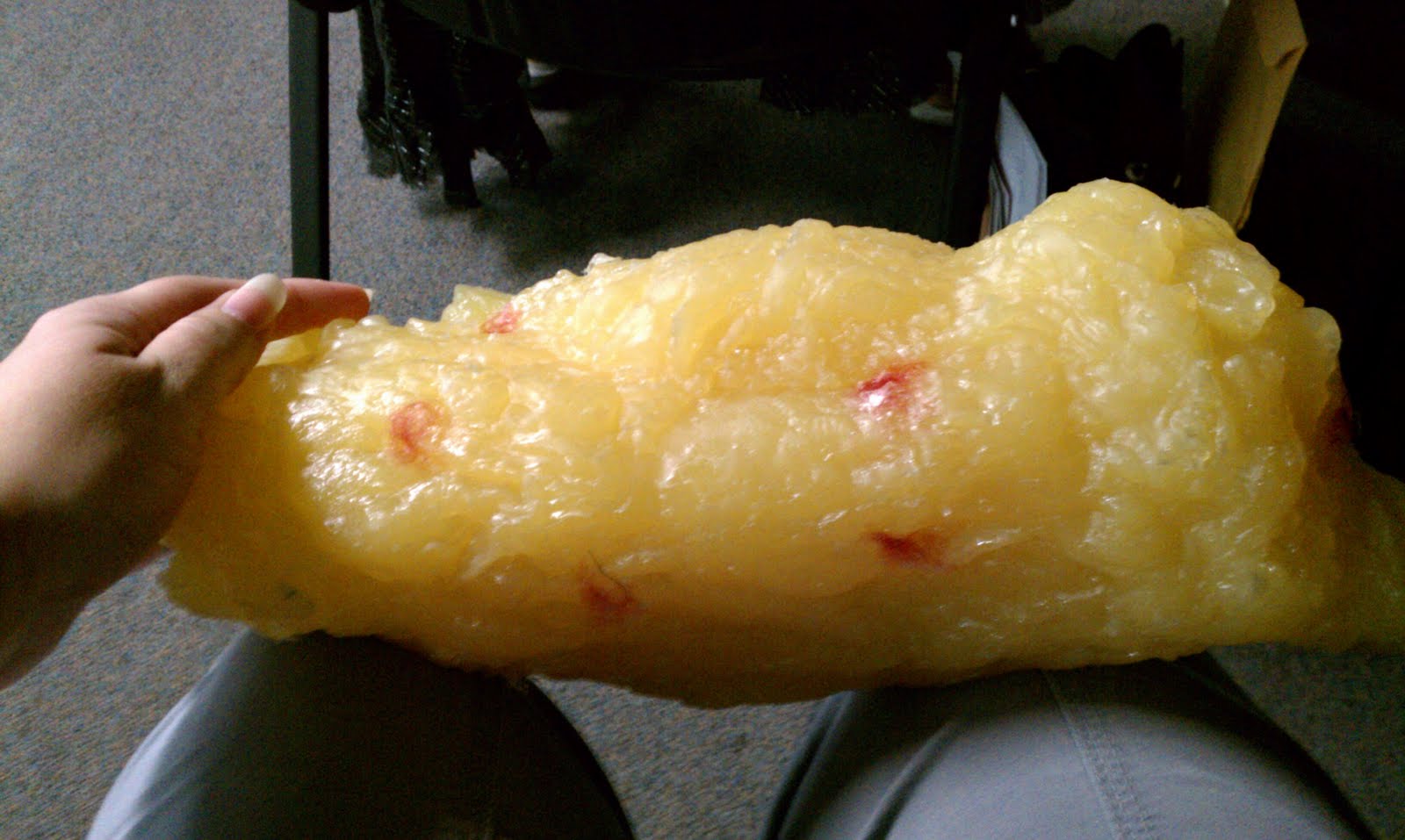 me-my-band-5-lbs-of-fat-chilling-on-my-lap