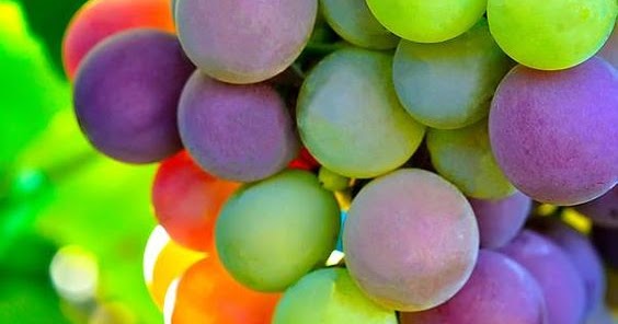 Doğum Haritası Okurken Derin Teknikler Dördüncü Ev Evlerde