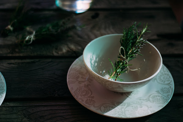 Ramilletes plantas diy