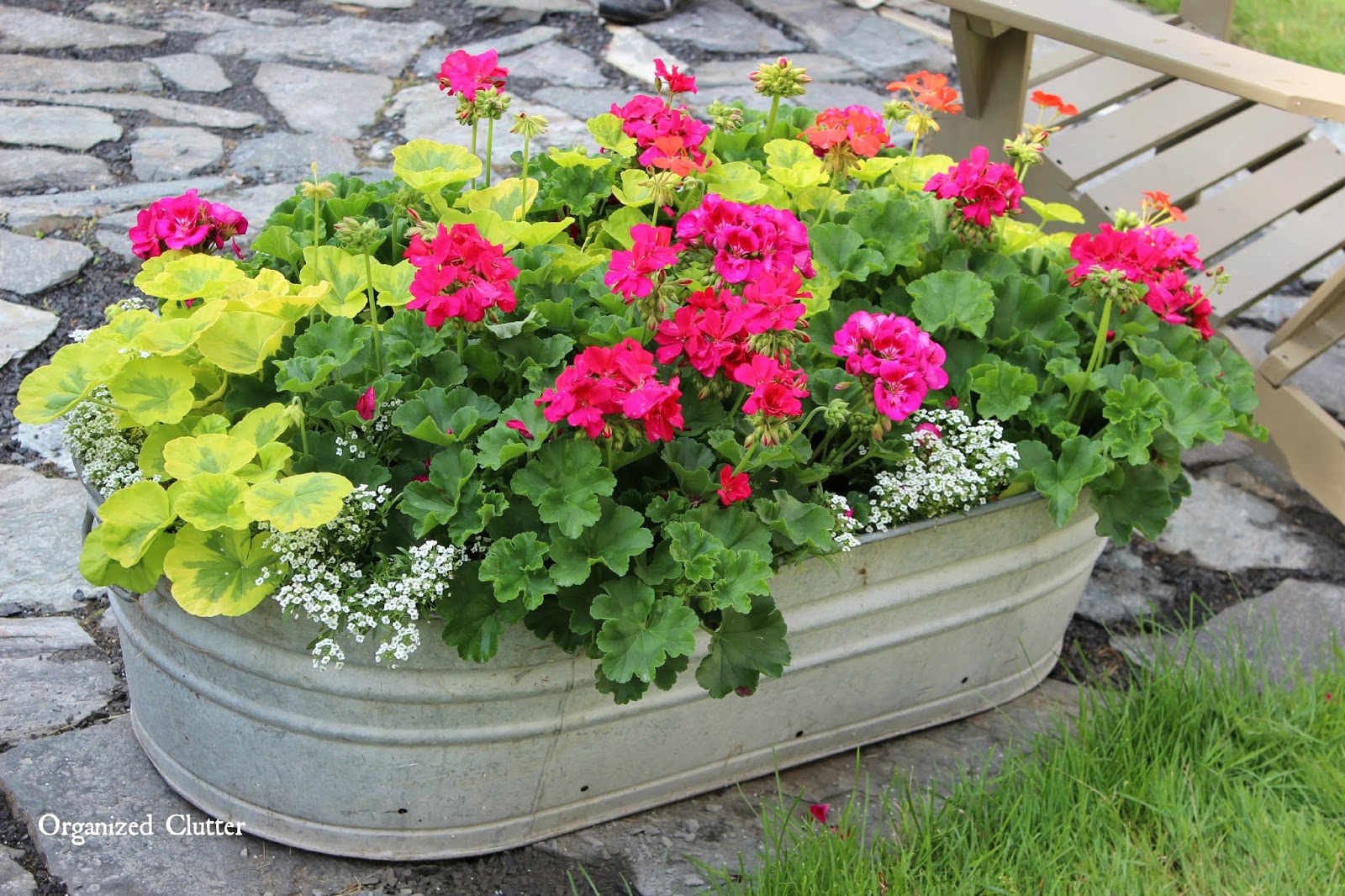 MORE Beautiful Flowers in Junky Containers Organized Clutter