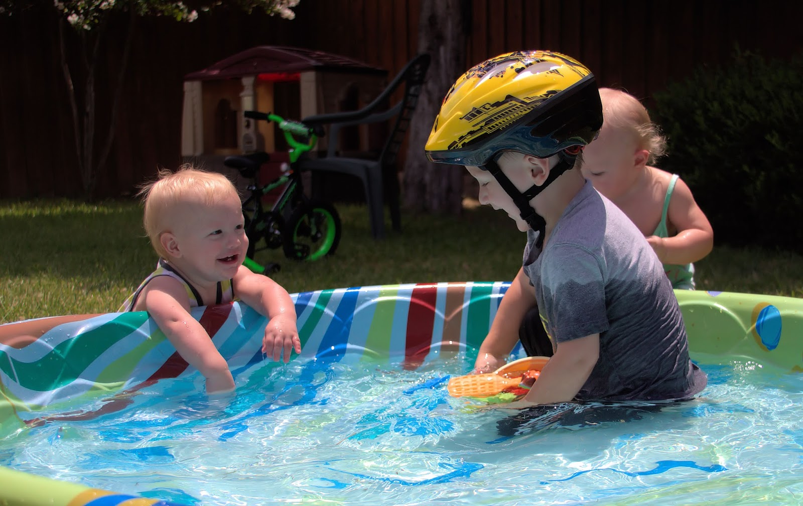 Life as a Ham Too Hot to Do Anything But Swim