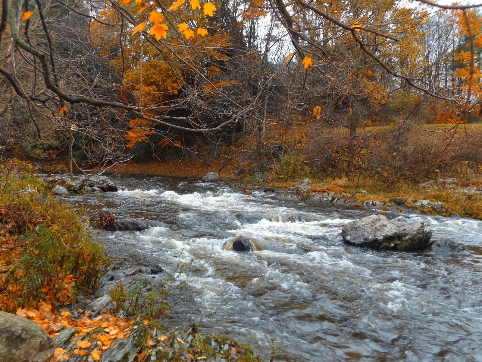 Walking Man 24 7 Kinderhook Creek(East Nassau Falls)