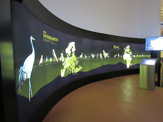 Paneles del Centro de Visitantes de Cabañeros