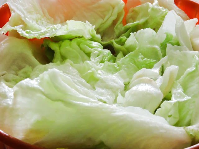 Lechuga lechuga
