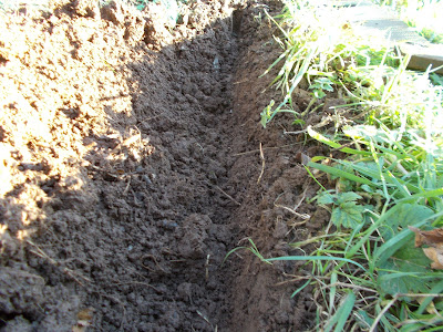 Shallow trench at the plot edge How to keep weeds out of your allotment 80 Minute Allotment Green Fingered Blog