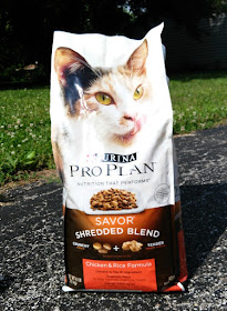Cat Food Reviews: Purina® Pro Plan® Savor Shredded Blend