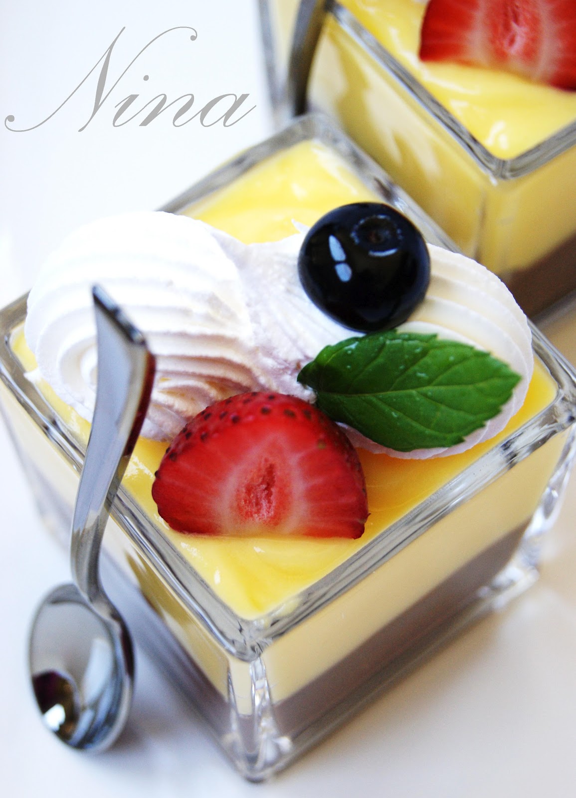 NINA'S RECIPES..... CHOCOLATE AND VANILLA PUDDING DESSERT