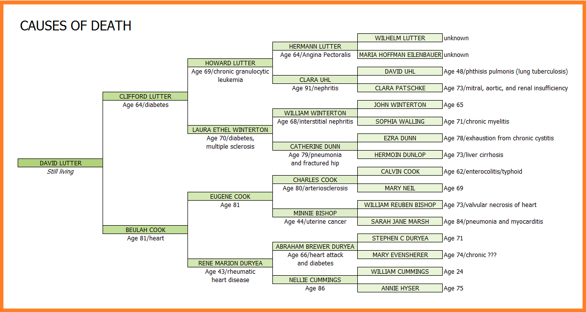 Family History Research by Jody Lutter Cause of Death Family Tree