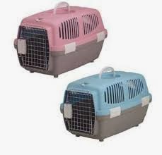 La importancia del trasportín al salir con el gato trasportin-gato-salida-mudanza