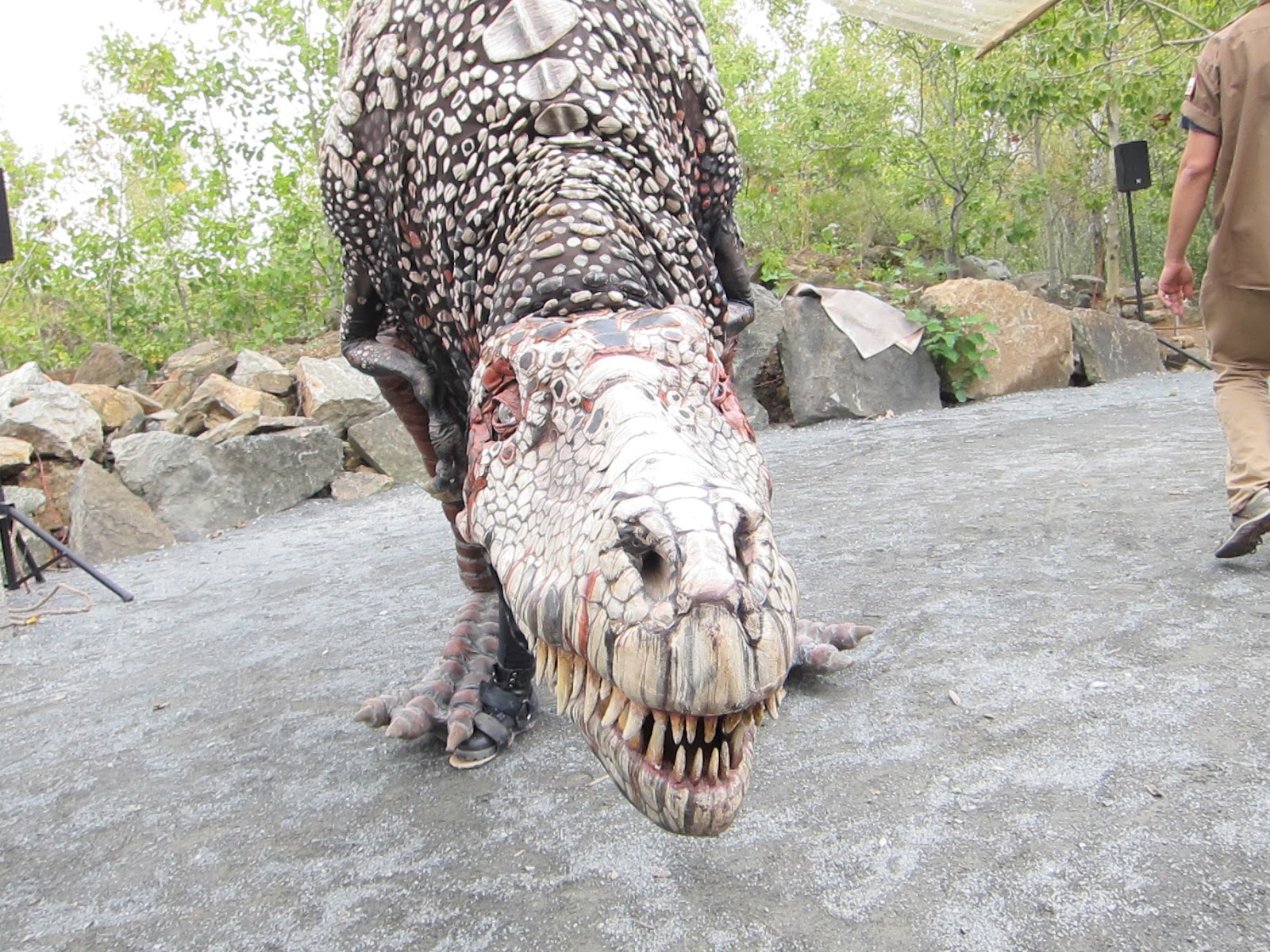 overpeck park dinosaurs