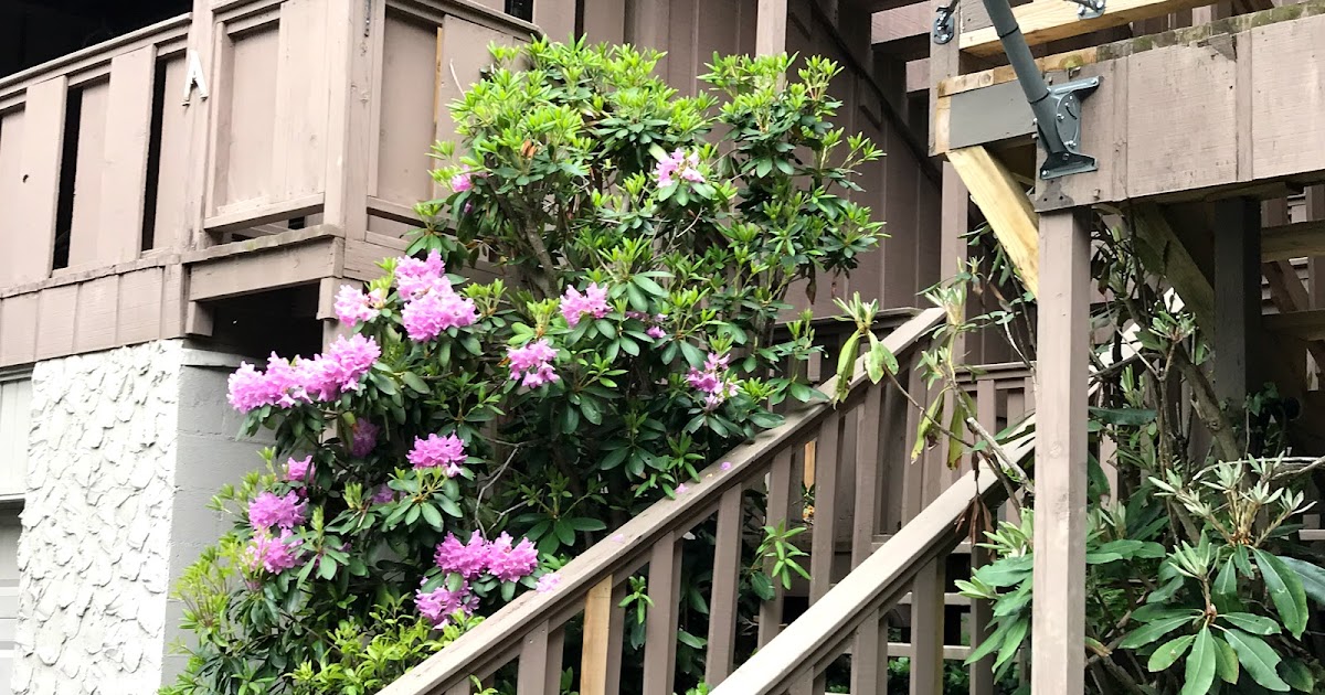 Hawks Nest Village Homeowners