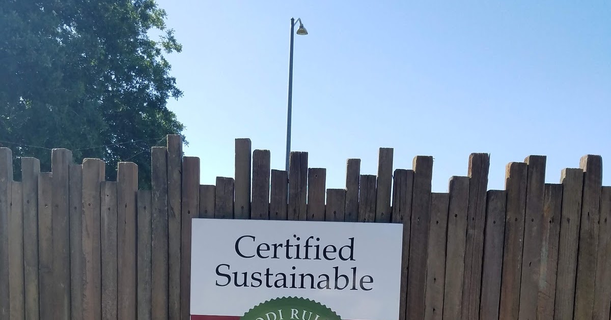 Goddess of Wine Wining in Lodi...