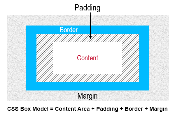 What is CSS Box Model - Online Tutorial For JavaScript, ReactJS, HTML ...
