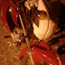 Colisão envolvendo carro e moto, em Mundo Novo-BA