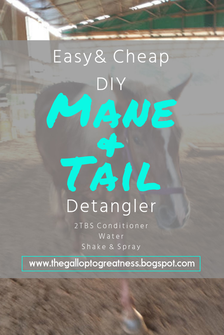 Easy & Cheap DIY Mane & Tail Detangler
