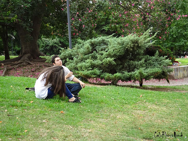 Amor en el parque Una pareja sentada en el césped del parque.