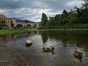 Besalu bridge with river and ducks