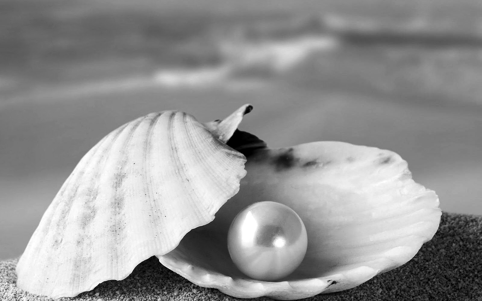 Zwart Witte Wallpapers | HD Wallpapers