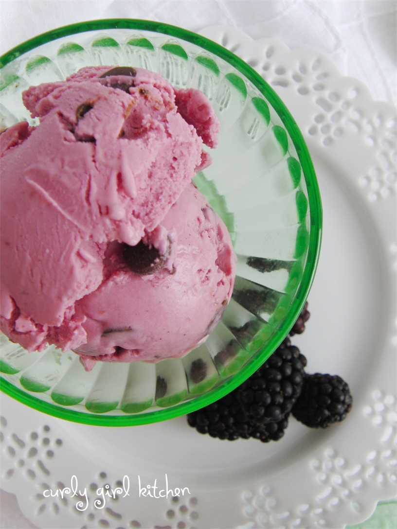 Curly Girl Kitchen: Blackberry Chocolate Chip Frozen Yogurt