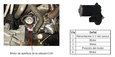 Grupo Volkswagen, motor diésel 1.6 CAYC sistema de recirculación de gases de escape EGR.
