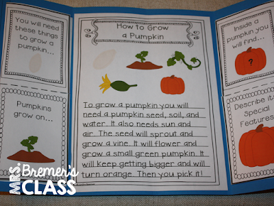 FREE Pumpkin Life Cycle Lapbook where students can show what they have learned about the pumpkin life cycle. A fun resource for teaching about pumpkins in the fall. #freebies #fall #lapbooks #pumpkins #1stgrade #kindergarten #2ndgrade #pumpkinlifecycle