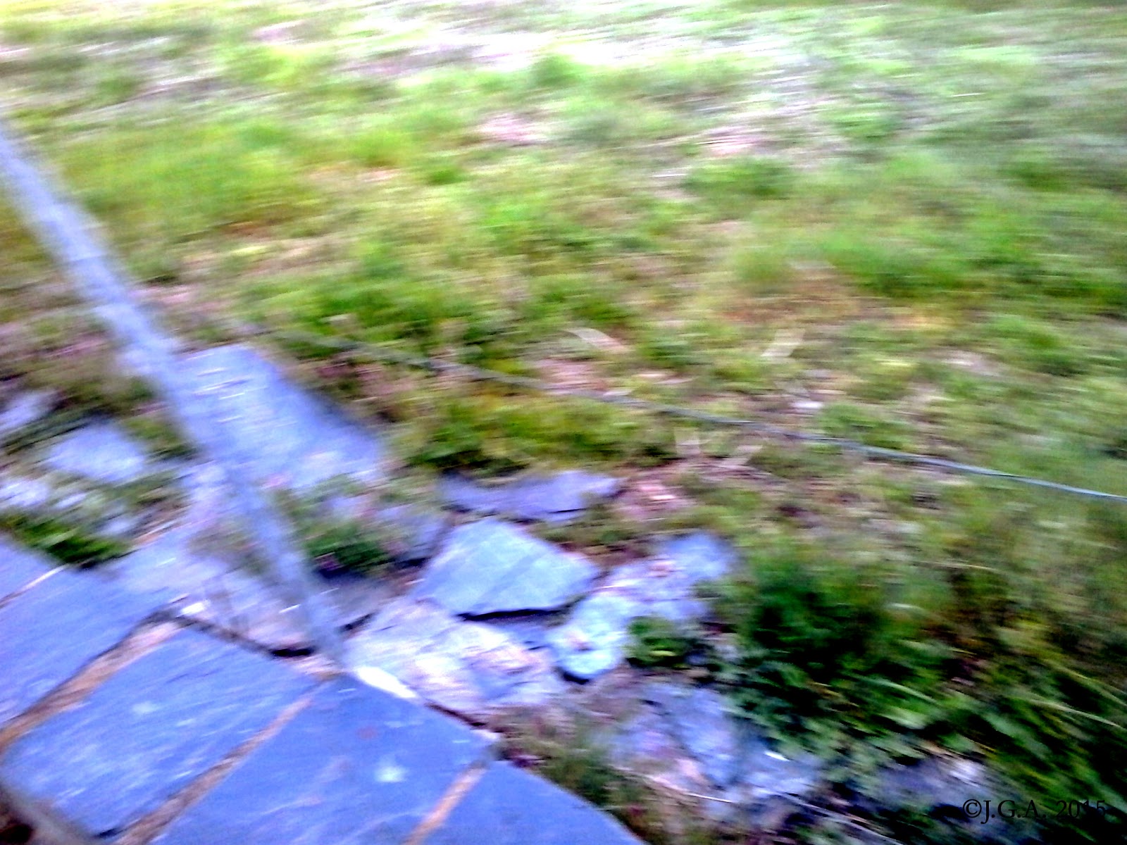 José García Alonso