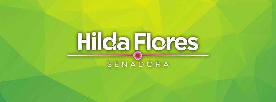 Hilda Flores Escalera, Senadora