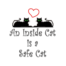 The Safe Cat