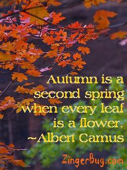 Kate Bush: Happy Autumnal Equinox!