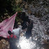 Mulher joga filha de três anos de ponte e pula em seguida